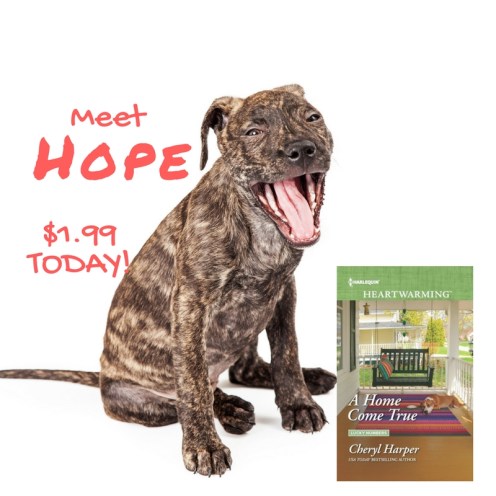 $1.99! What a deal! (1)